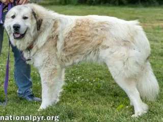 Jake in TN - A Laid-back Guy!