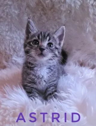 Astrid