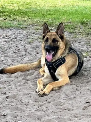 Max