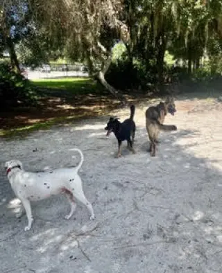 Max