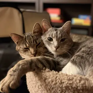 Cashew (sweet and soft and loves his BFF Almond)