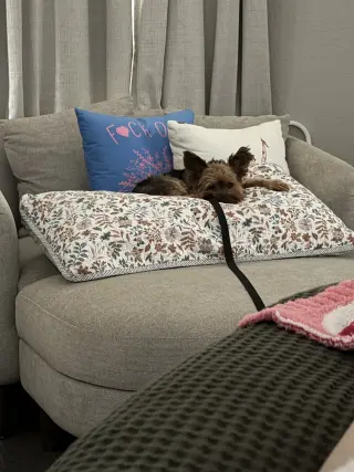 Milo