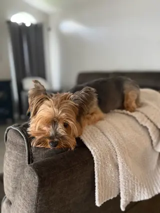 Milo