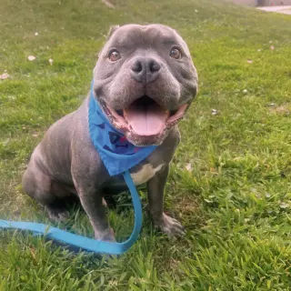 Blue