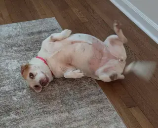 Delilah fka Katya