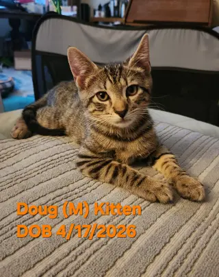 Doug
