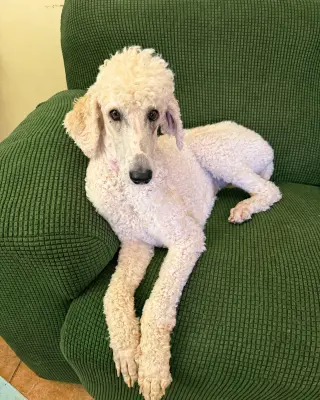 Buffy Neal - May 26