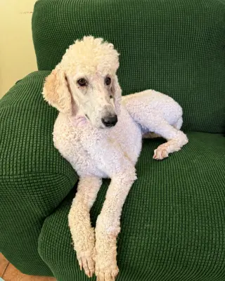 Buffy Neal - May 26