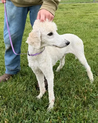 Buffy Neal - May 26