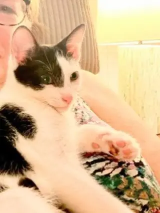 Kitcat