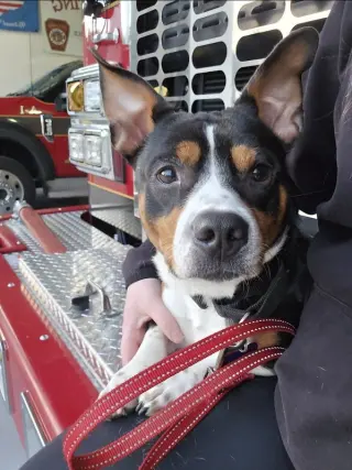 Archie