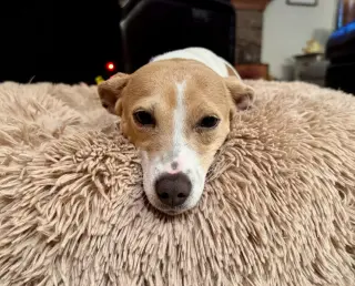 Mama Peaches