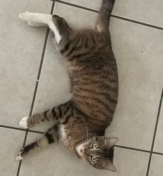 Sweetie