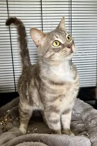 Theodore