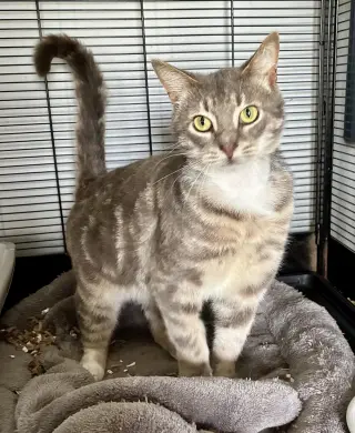 Theodore