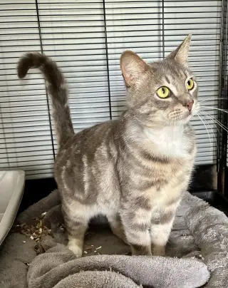 Theodore