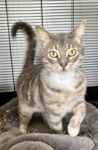 Theodore