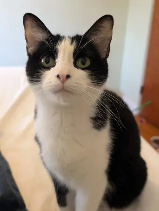 Mrs. Claws