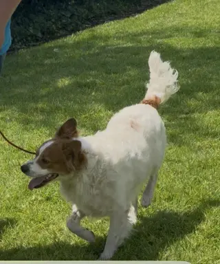 Oliver