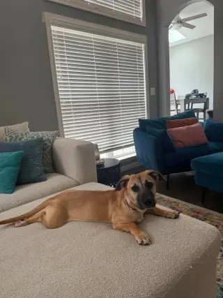 Kallie