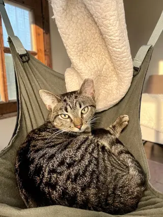 Peanut