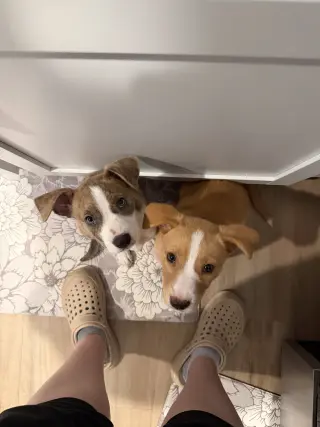 Emma