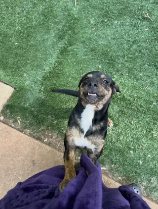 Ethel