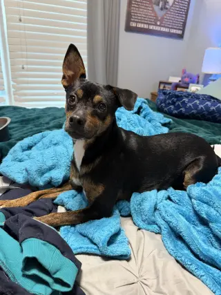Ethel