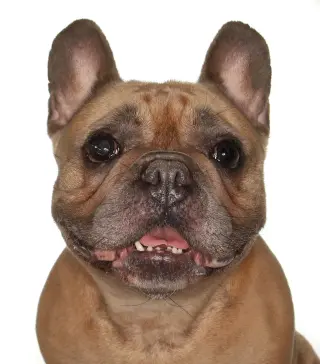 Fiona