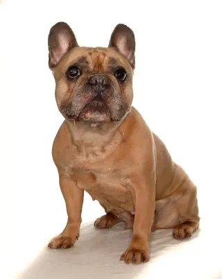 Fiona