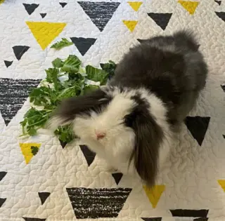 Eleanor
