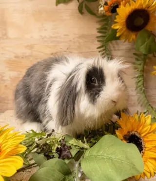 Eleanor