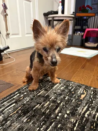 Levi Apr 26
