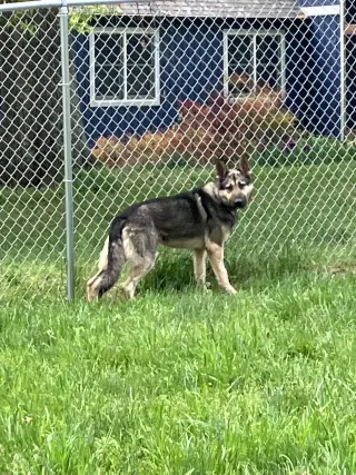 Rocky 6572