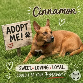 Cinnamon