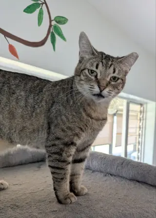 Reese Whiskerspoon