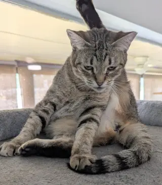 Reese Whiskerspoon