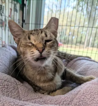 Reese Whiskerspoon
