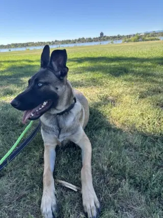 Zuri #1