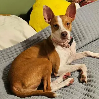Kaiya