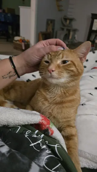 Reginald aka Reggie