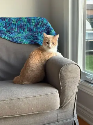 Chai