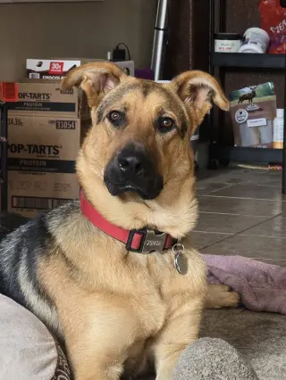 Ralph