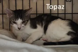 Topaz