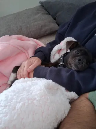 Mack