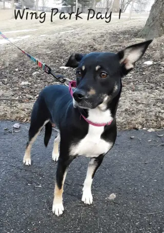ZURI