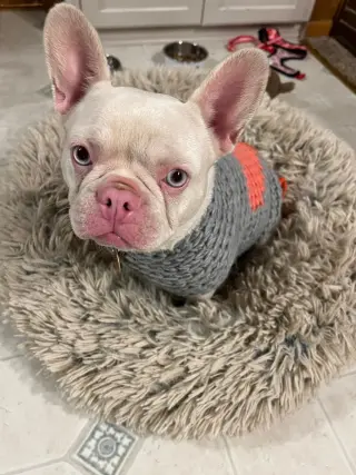 Peppa