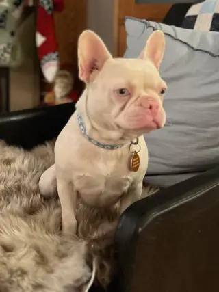 Peppa