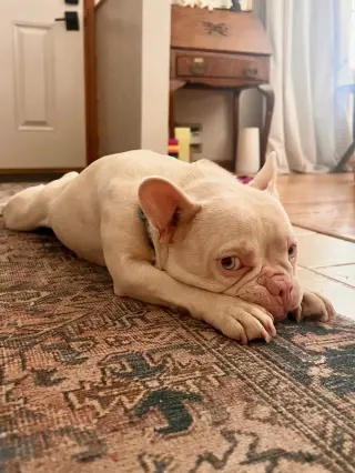 Peppa
