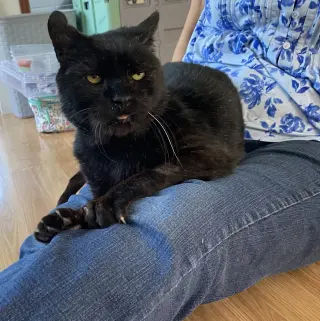 Oscar
